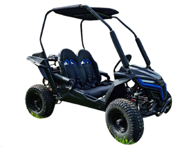 Preview: Buggy Ceetah Mini 163 ccm OHC 4 Takt Motor 2 Sitzer